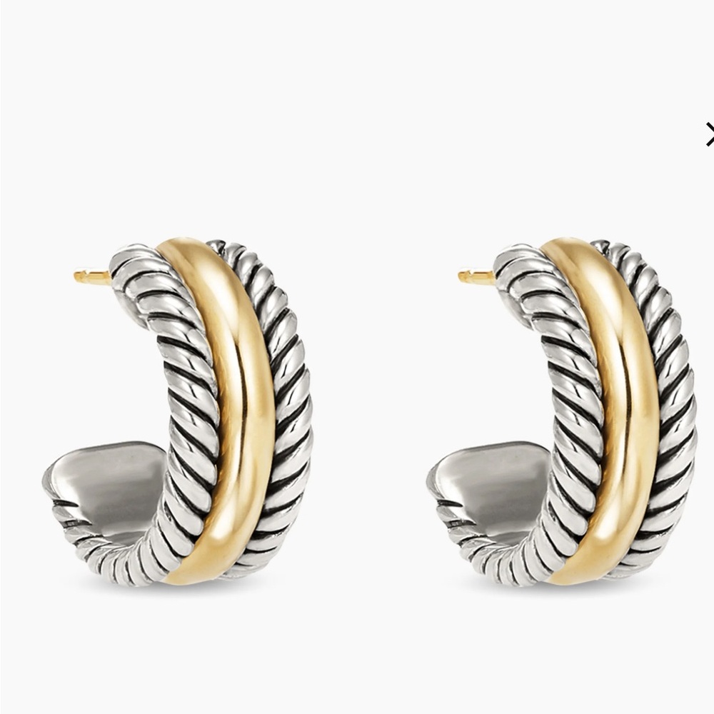 Elegant Silver and Gold Hoop Earrings